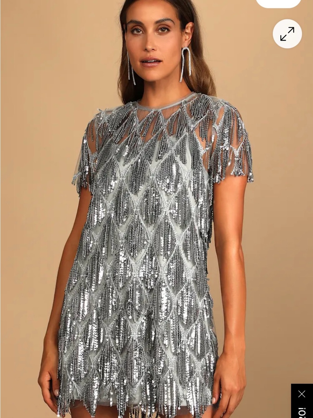 Lulu's Silver Sequin Embroidered Mesh Top or dress